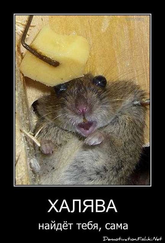Демотиваторы, часть 72 (134 фото)