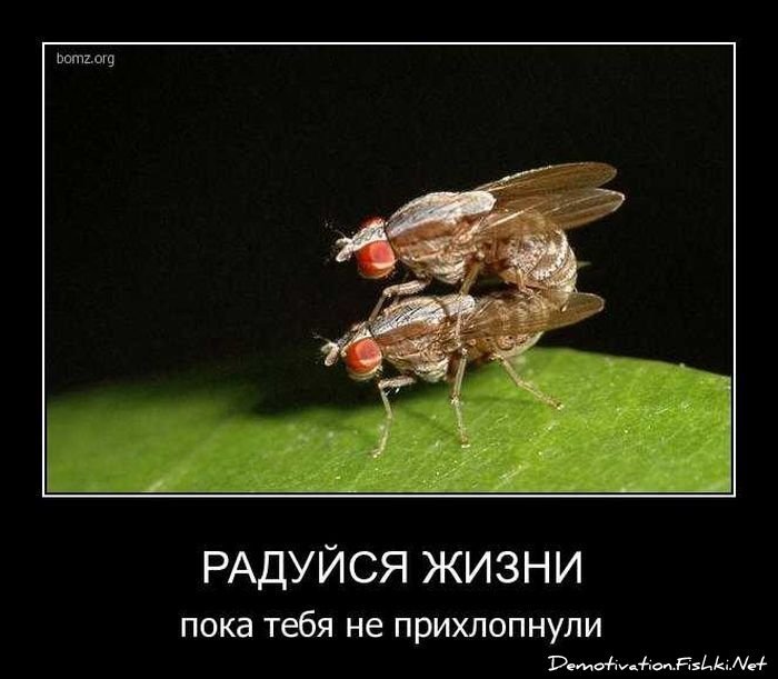 Демотиваторы, часть 72 (134 фото)