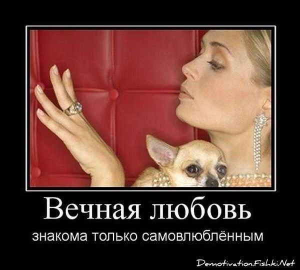 Смешной демотиватор от zubrilov за 17.09.2010 №59035