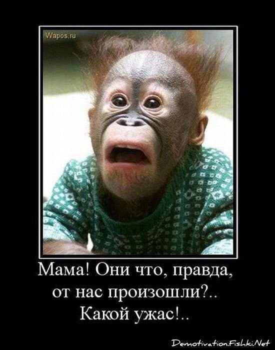 Смешной демотиватор от zubrilov за 17.09.2010 №59036