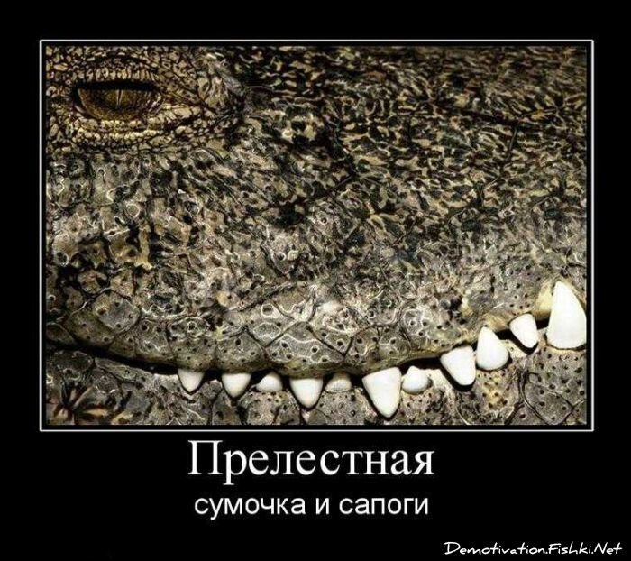 Демотиваторы, часть 72 (134 фото)