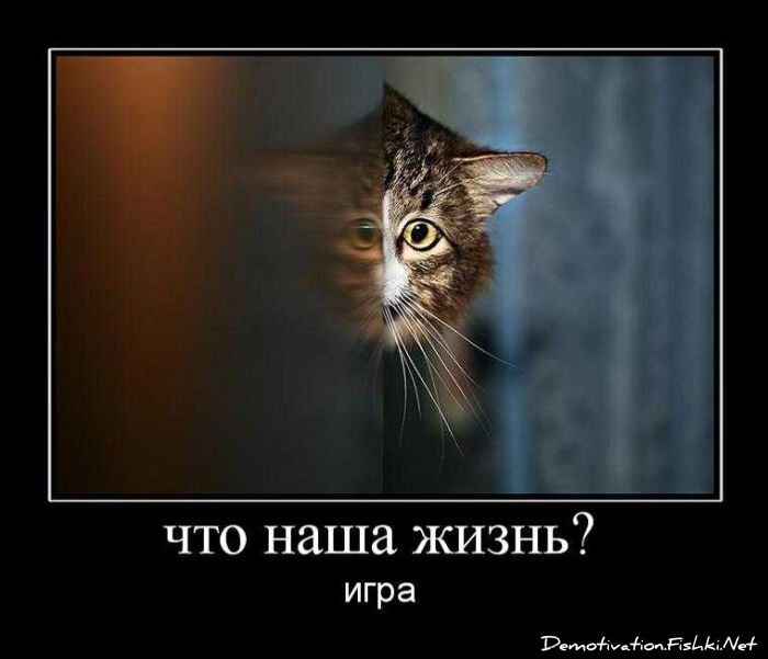 Демотиваторы, часть 72 (134 фото)