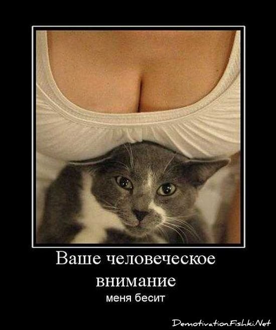 Смешной демотиватор от zubrilov за 17.09.2010 №59051