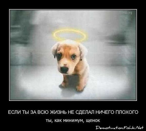 Смешной демотиватор от zubrilov за 17.09.2010 №59062