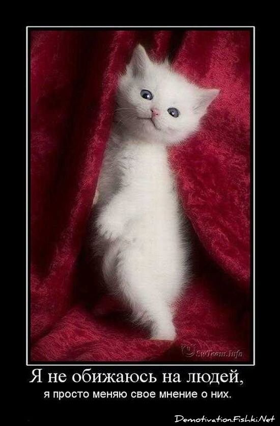 Смешной демотиватор от zubrilov за 17.09.2010 №59068