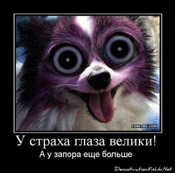 Смешной демотиватор от zubrilov за 17.09.2010 №59073