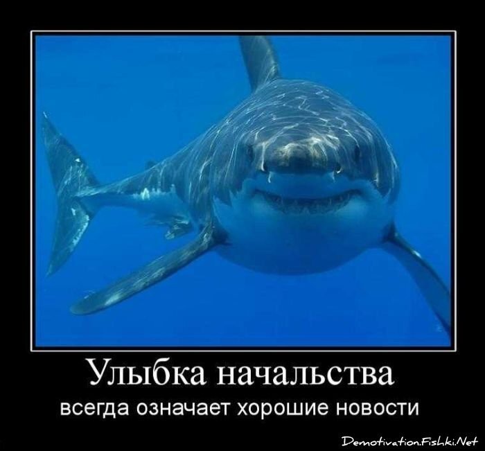 Смешной демотиватор от zubrilov за 17.09.2010 №59081