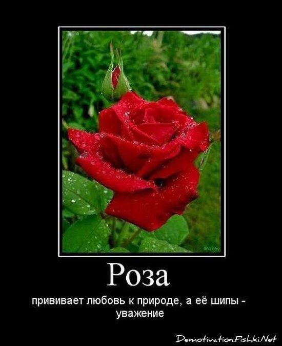 Смешной демотиватор от zubrilov за 17.09.2010 №59089