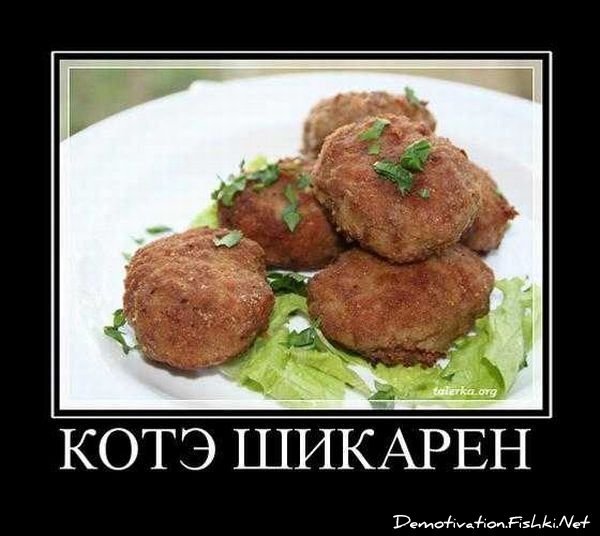 Смешной демотиватор от zubrilov за 17.09.2010 №59095