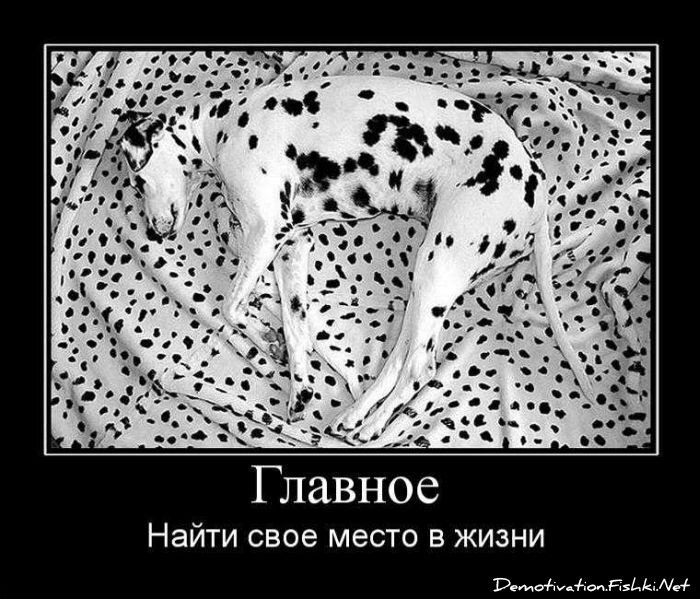 Смешной демотиватор от zubrilov за 17.09.2010 №59097