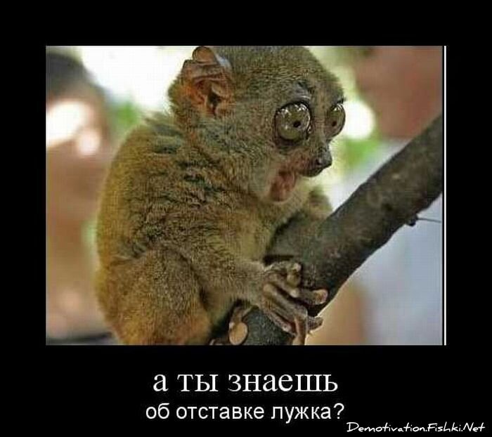 Смешной демотиватор от zubrilov за 01.10.2010 №59305