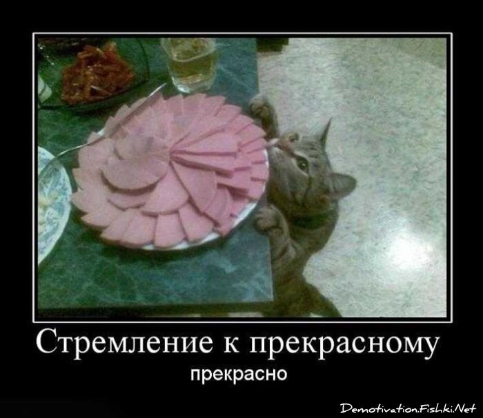 Смешной демотиватор от zubrilov за 01.10.2010 №59314