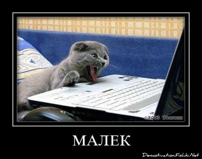 Смешной демотиватор от zubrilov за 01.10.2010 №59328