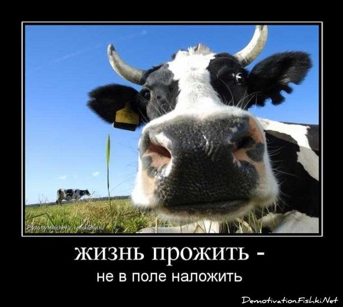 Смешной демотиватор от zubrilov за 01.10.2010 №59334