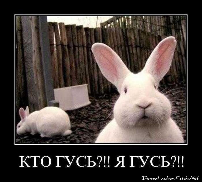 Смешной демотиватор от zubrilov за 01.10.2010 №59341