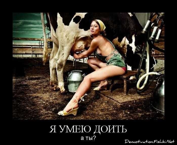Смешной демотиватор от zubrilov за 01.10.2010 №59348