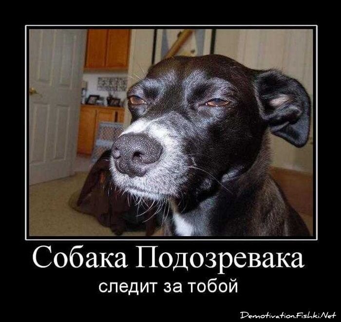 Смешной демотиватор от zubrilov за 01.10.2010 №59368