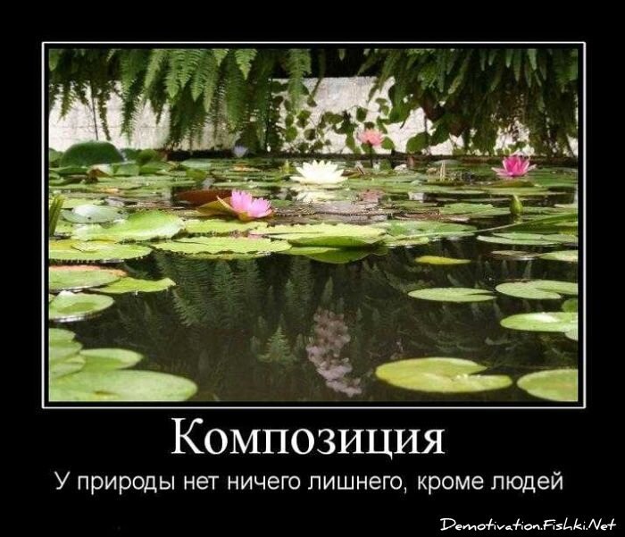 Смешной демотиватор от zubrilov за 01.10.2010 №59380