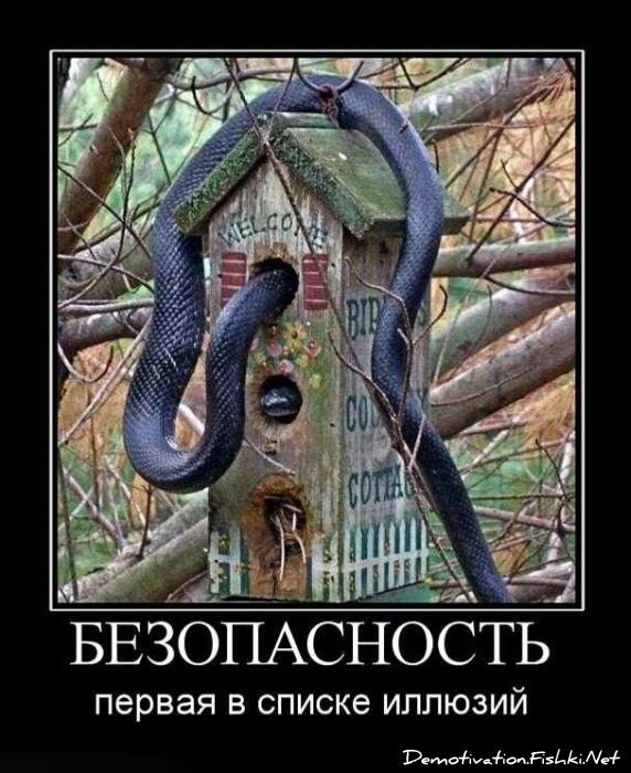 Смешной демотиватор от zubrilov за 01.10.2010 №59384