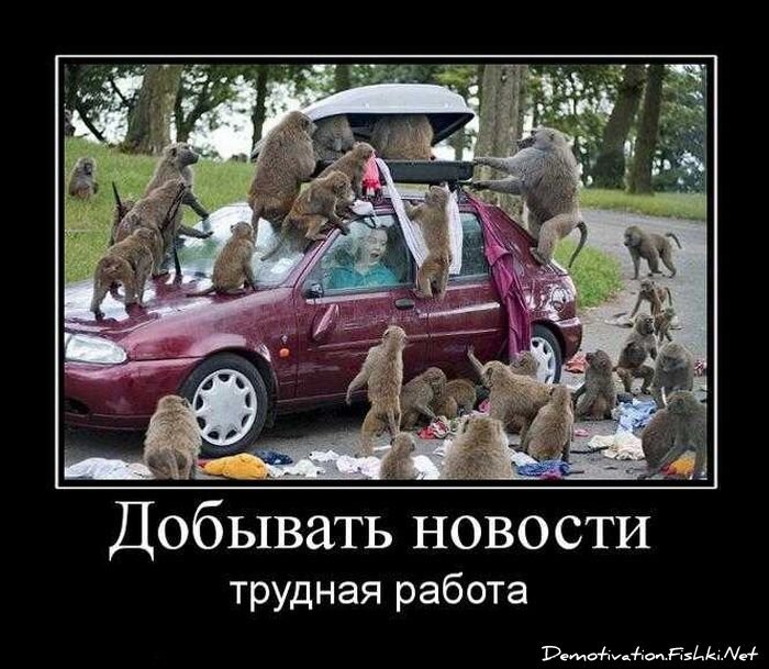 Смешной демотиватор от zubrilov за 01.10.2010 №59387