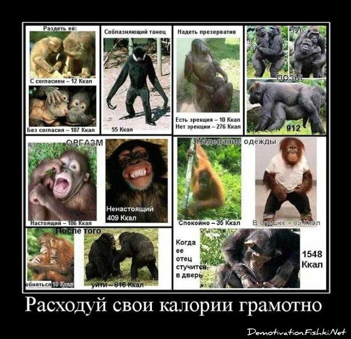 Демотиваторы, часть 74 (132 фото)