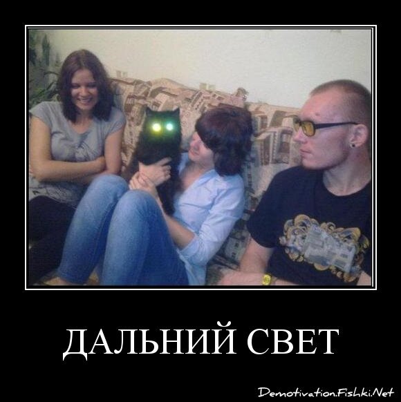 дальний свет