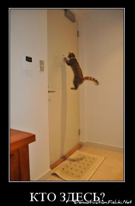 Смешной демотиватор от zubrilov за 21.10.2010 №59596