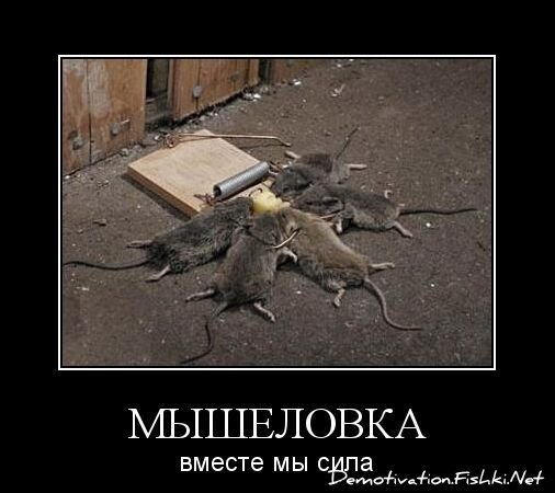 Смешной демотиватор от zubrilov за 21.10.2010 №59597