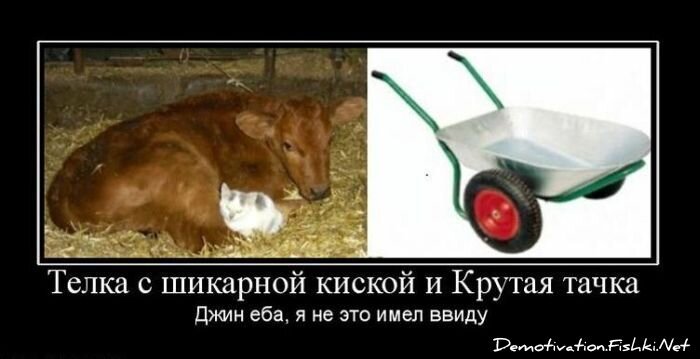 Демотиваторы, часть 80. (77фото)