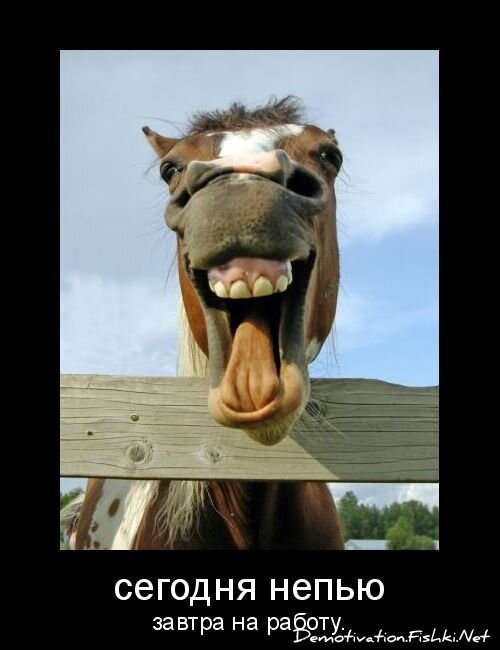 Смешной демотиватор от zubrilov за 21.10.2010 №59602