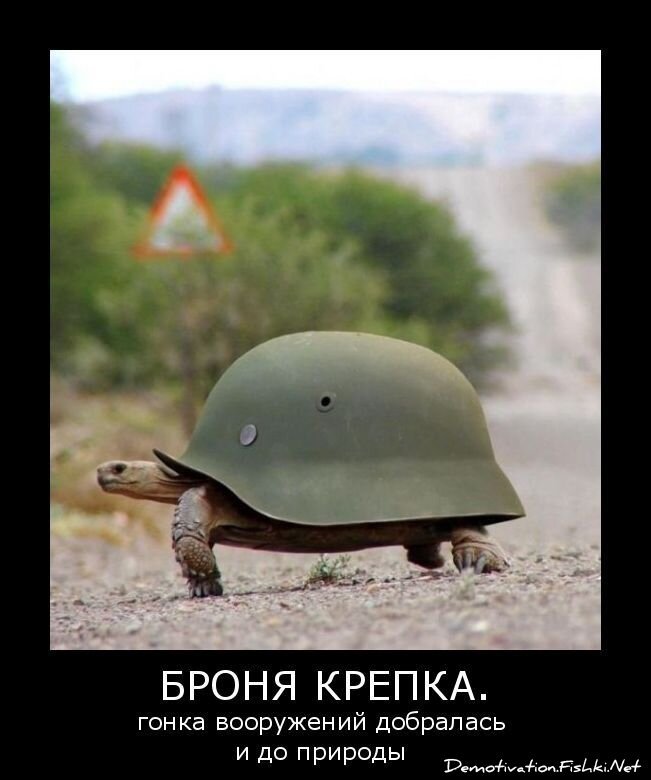 Смешной демотиватор от zubrilov за 21.10.2010 №59624