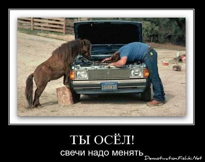 Демотиваторы, часть 80. (77фото)