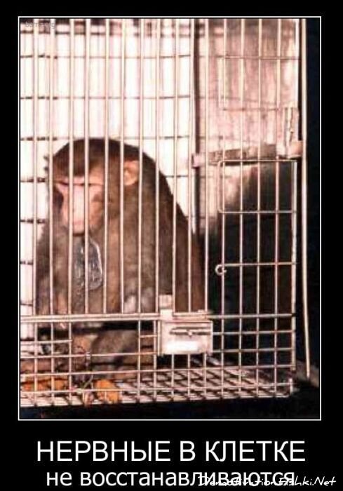 Смешной демотиватор от zubrilov за 21.10.2010 №59644