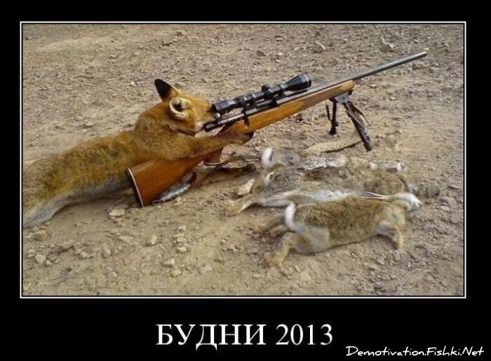Демотиваторы, часть 80. (77фото)
