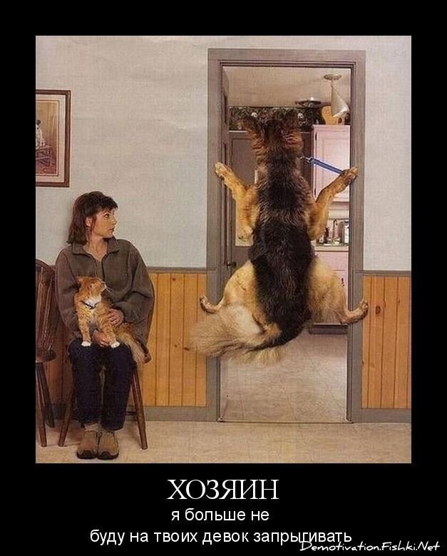 Смешной демотиватор от zubrilov за 21.10.2010 №59652