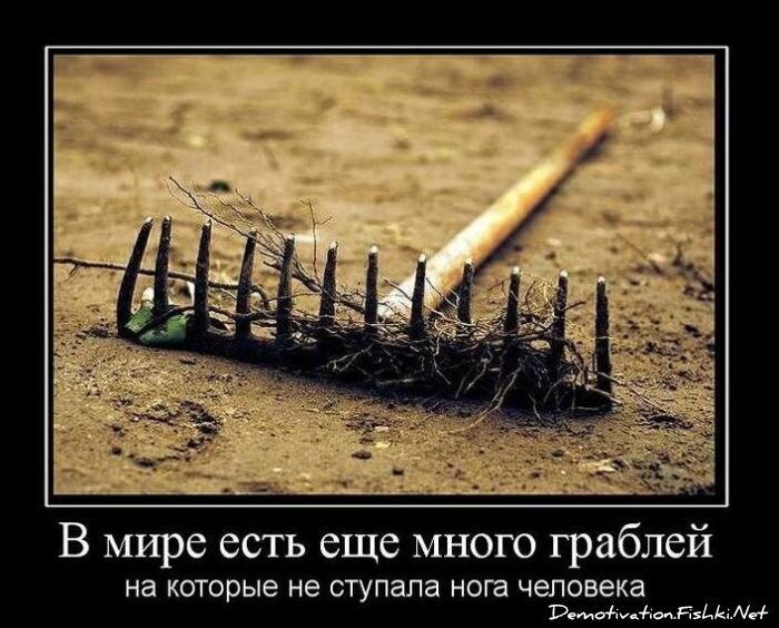Смешной демотиватор от zubrilov за 21.10.2010 №59662