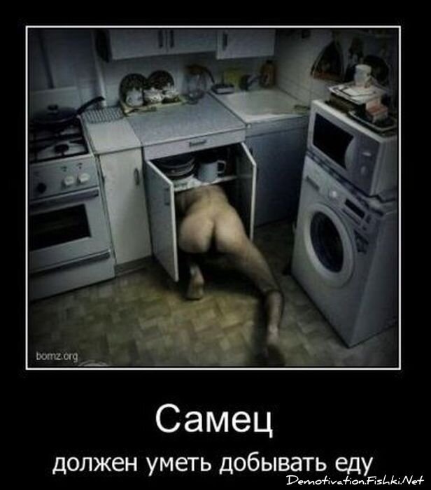 Смешной демотиватор от zubrilov за 15.10.2010 №59710