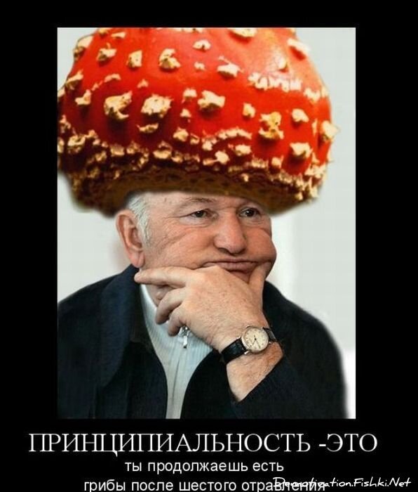 Смешной демотиватор от zubrilov за 15.10.2010 №59745