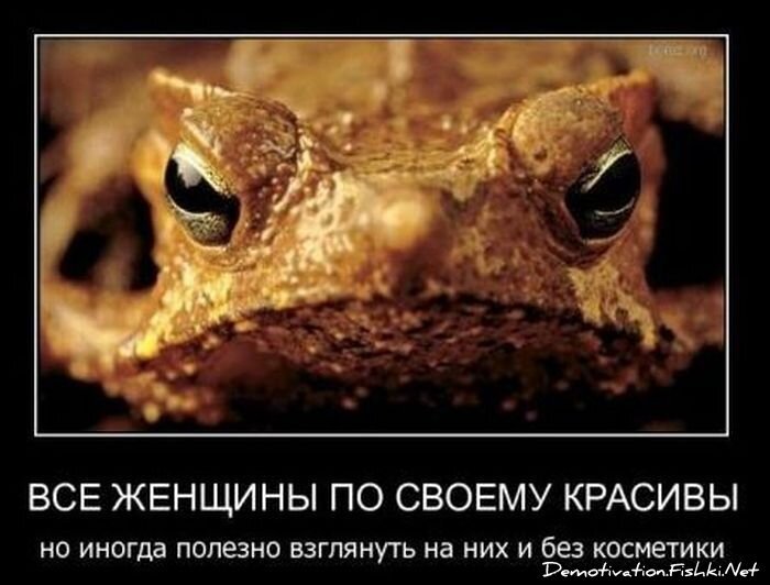 Смешной демотиватор от zubrilov за 15.10.2010 №59757