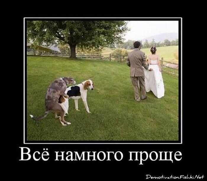 Смешной демотиватор от zubrilov за 15.10.2010 №59765