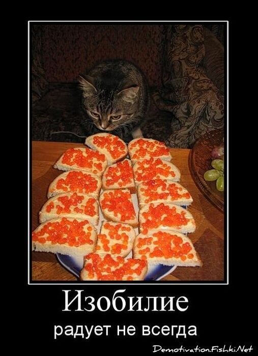 Смешной демотиватор от zubrilov за 15.10.2010 №59792