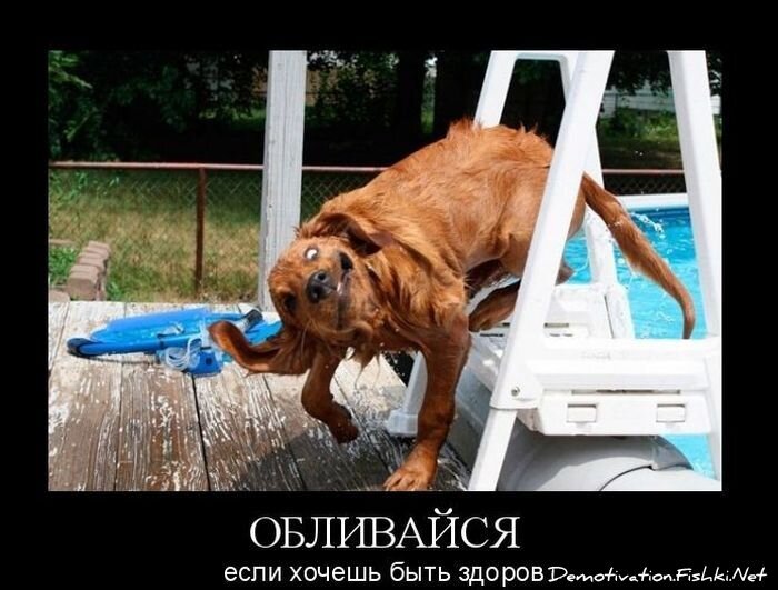 Смешной демотиватор от zubrilov за 15.10.2010 №59796