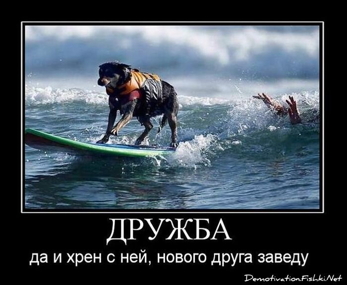 Смешной демотиватор от zubrilov за 15.10.2010 №59804