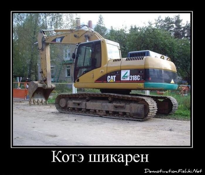 Смешной демотиватор от zubrilov за 15.10.2010 №59810