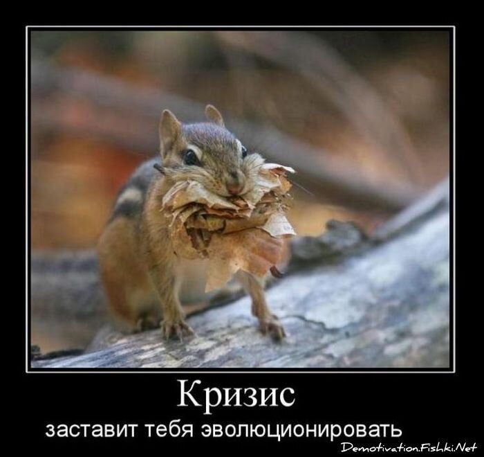 Смешной демотиватор от zubrilov за 18.10.2010 №59832