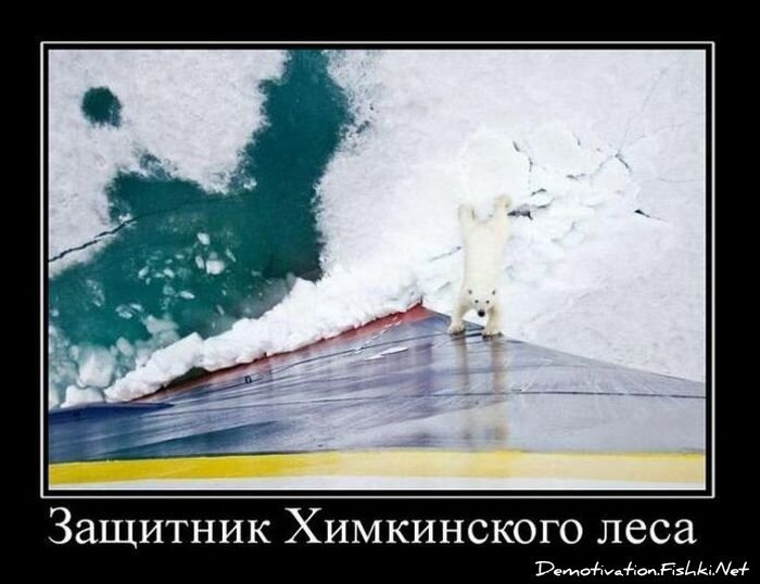 Смешной демотиватор от zubrilov за 18.10.2010 №59838