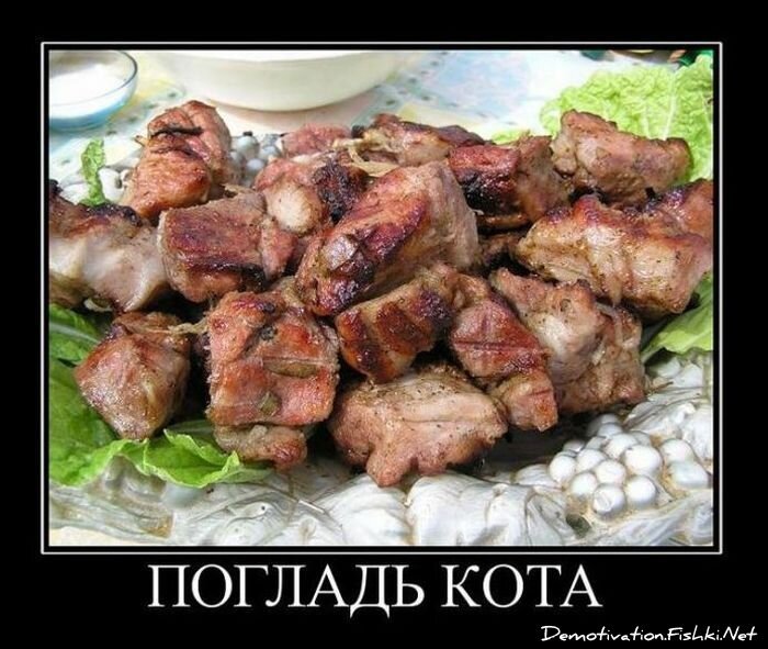 Смешной демотиватор от zubrilov за 18.10.2010 №59861