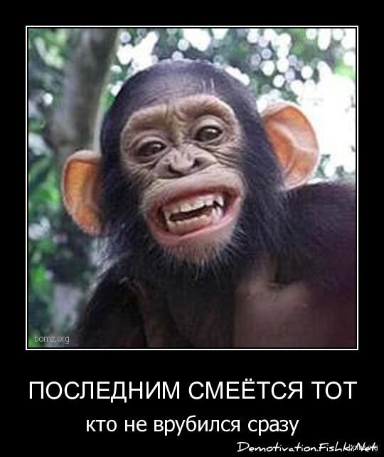Смешной демотиватор от zubrilov за 20.10.2010 №59922