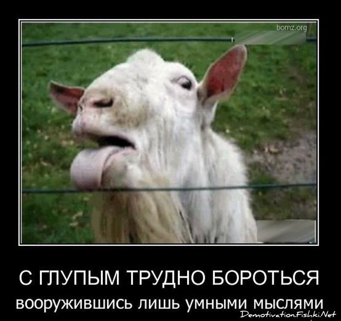 Смешной демотиватор от zubrilov за 20.10.2010 №59942