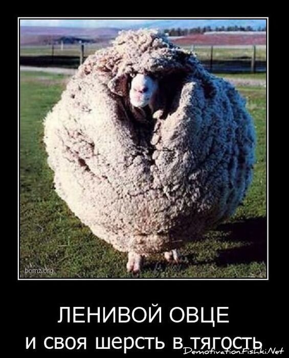 Смешной демотиватор от zubrilov за 20.10.2010 №59947